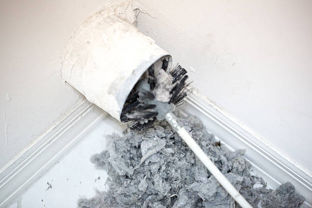 Best HVAC System Cleaning  in Ocala, FL